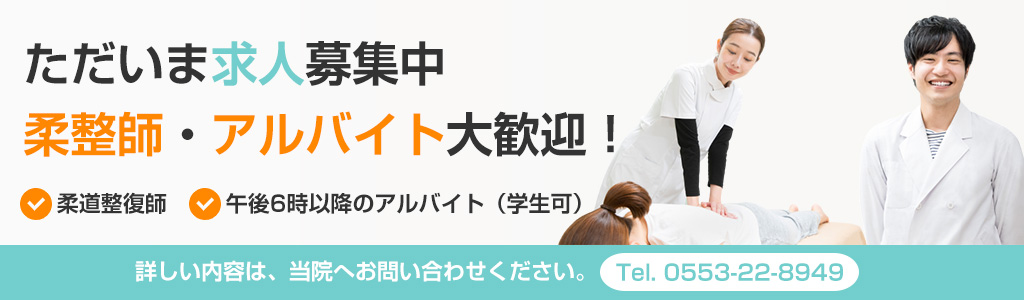 山梨、柔道整復師、求人