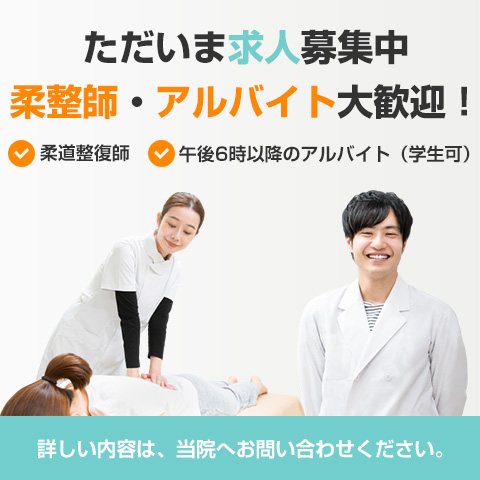 山梨、柔道整復師、求人